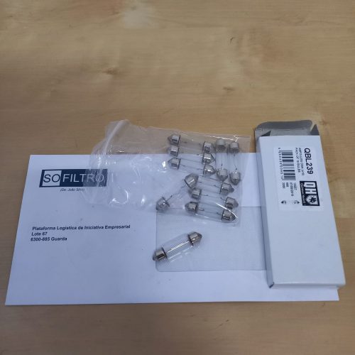 Lâmpada de Chapa de Matrícula C5W (x10)