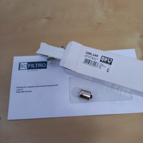 Lâmpada Lâmpada de Chapa de Matrícula R10W (x10)